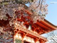 日本京都天气预报，日本奈良天气预报？