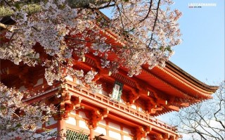 日本京都天气预报，日本奈良天气预报？