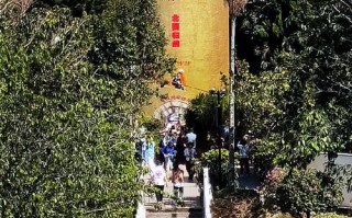 墨江天气预报一周，墨江的天气预报