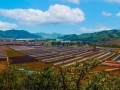 庄河天气预报最新，庄河天气预报最新消息查询电话号码是多少