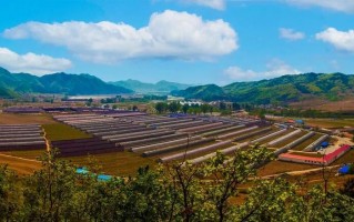 庄河天气预报最新，庄河天气预报最新消息查询电话号码是多少
