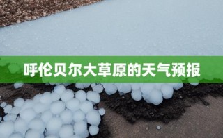 呼伦贝尔市天气预报，呼伦贝尔市天气预报一周天气