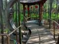 山东日照市天气预报，山东日照市天气预报15天？