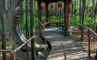 山东日照市天气预报，山东日照市天气预报15天？