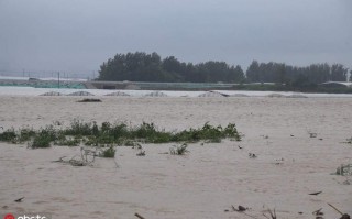 昌乐天气预报一周，昌乐天气预报15天气