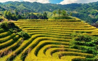 广西靖西天气预报，广西靖西天气预报15天准确率？