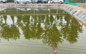 濮阳地区天气预报？天气预报濮阳市的天气预报情况？