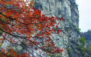 鲁山天气预报40天，鲁山天气预报40天查询