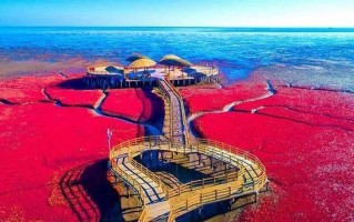 盘锦大洼天气预报，盘锦大洼天气预报最新？