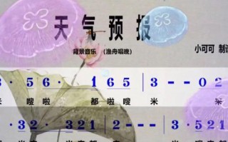 广西电视台天气预报，广西电视台天气预报主持人列敏