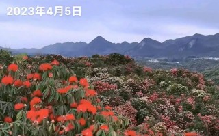 玉林天气预报7天？广西玉林天气预报7天？