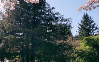 东营一周天气预报？东营一周天气预报情况？