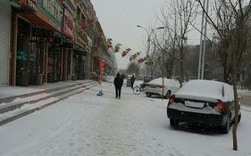 绥化天气预报一周，绥化天气预报一周七天1网络1