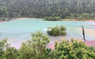 高明天气预报15天，高明天气预报15天查询