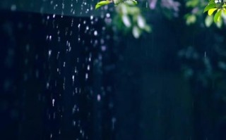 洋县天气15天预报？洋县天气15天预报最新？