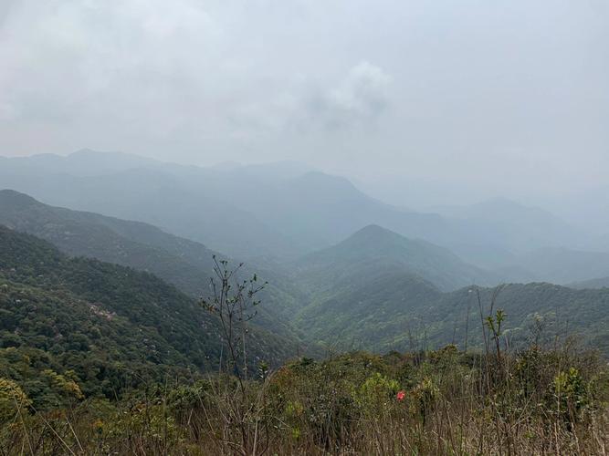 山亭天气预报24,山亭天气预报24小时详情?-第3张图片-巾百福 山亭天气预报24,山亭天气预报24小时详情?-第3张图片-巾百福