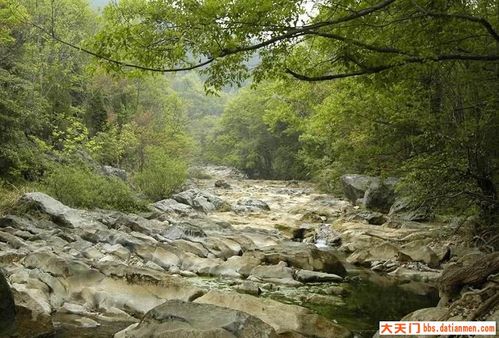 京山三十天气预报,京山30天气查询-第3张图片-巾百福 京山三十天气预报,京山30天气查询-第3张图片-巾百福