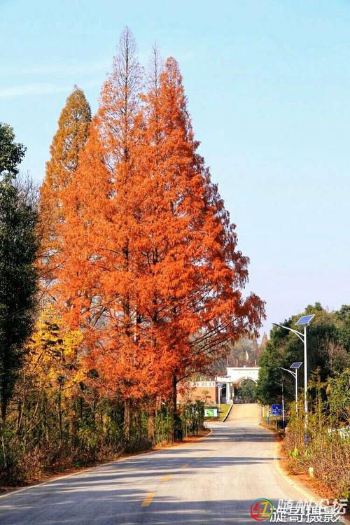 京山三十天气预报,京山30天气查询-第6张图片-巾百福 京山三十天气预报,京山30天气查询-第6张图片-巾百福