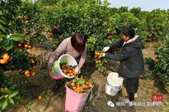 汝南天气2345?汝南天气预报15天30天?-第5张图片-巾百福 汝南天气2345?汝南天气预报15天30天?-第5张图片-巾百福