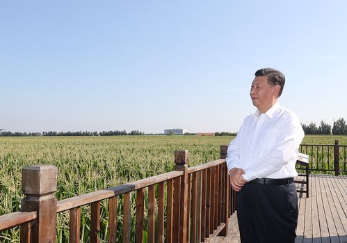 2021鄄城限号么?鄄城县限行限号?-第4张图片-巾百福 2021鄄城限号么?鄄城县限行限号?-第4张图片-巾百福