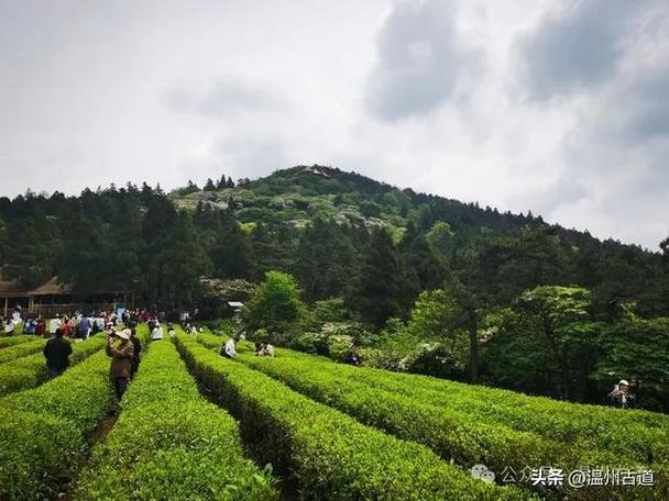 天台天气预报15天？天台天气预报15天查询结果15？-第3张图片-巾百福