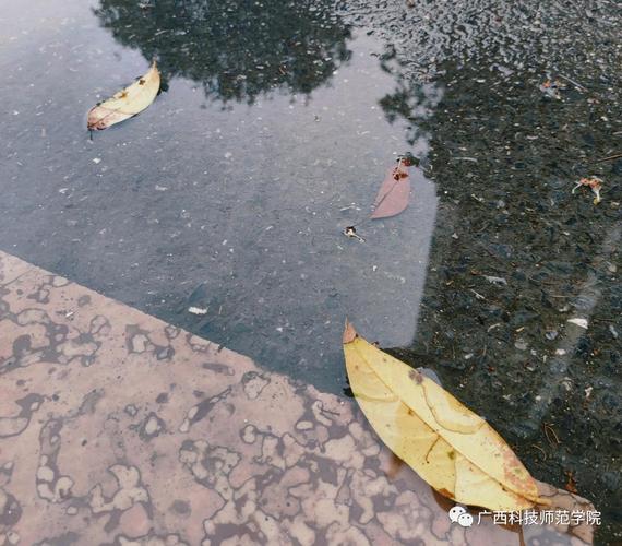 上思天气预报15天,上思天气预报15天天气?-第1张图片-巾百福 上思天气预报15天,上思天气预报15天天气?-第1张图片-巾百福