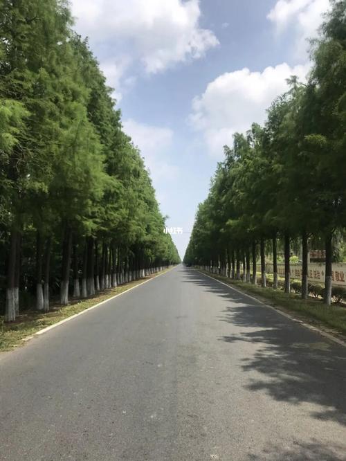 崇明气象台发布天气,崇明气预报-第3张图片-巾百福 崇明气象台发布天气,崇明气预报-第3张图片-巾百福