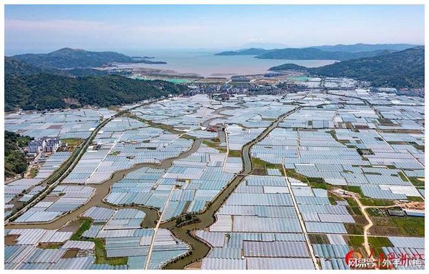 苍南天气预报一周,苍南天气预报一周15天温州天气预报-第5张图片-巾百福 苍南天气预报一周,苍南天气预报一周15天温州天气预报-第5张图片-巾百福