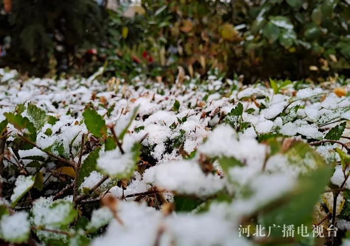 汾西天气预报15天,汾西天气预报15天最新消息?-第2张图片-巾百福 汾西天气预报15天,汾西天气预报15天最新消息?-第2张图片-巾百福