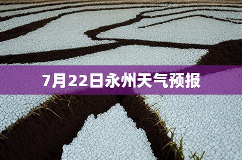 奉化天气7天一周,奉化一周内天气预报?-第4张图片-巾百福 奉化天气7天一周,奉化一周内天气预报?-第4张图片-巾百福