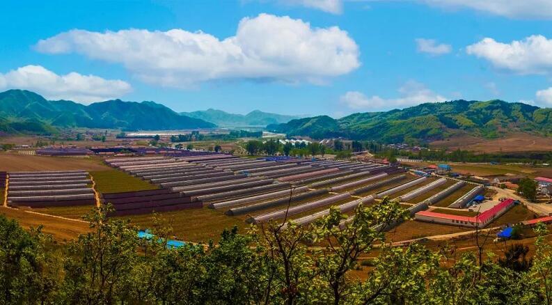 庄河天气预报最新,庄河天气预报最新消息查询电话号码是多少-第1张图片-巾百福 庄河天气预报最新,庄河天气预报最新消息查询电话号码是多少-第1张图片-巾百福