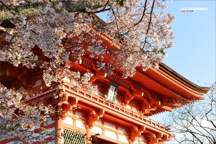 日本京都天气预报,日本奈良天气预报?-第1张图片-巾百福 日本京都天气预报,日本奈良天气预报?-第1张图片-巾百福