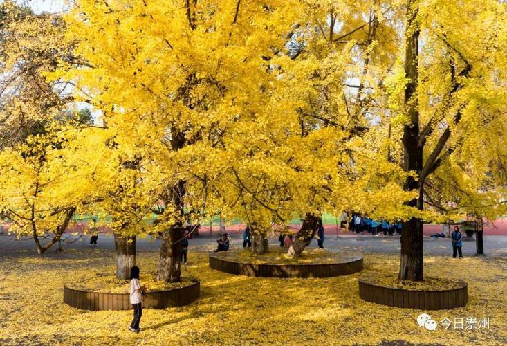 怀远天气预报30天,怀远天气预报30天最新?-第2张图片-巾百福 怀远天气预报30天,怀远天气预报30天最新?-第2张图片-巾百福