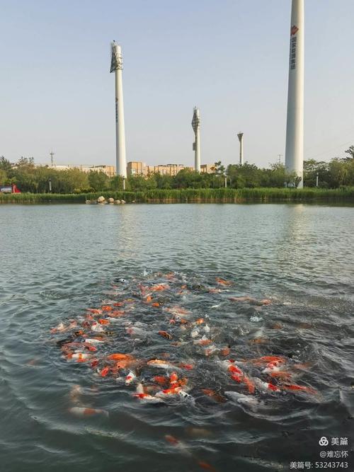 沧州黄骅天气预报，沧州黄骅天气预报一周 7天？-第2张图片-巾百福
