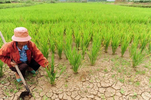 黎川天气预报30日？黎川天气30天查询？-第6张图片-巾百福