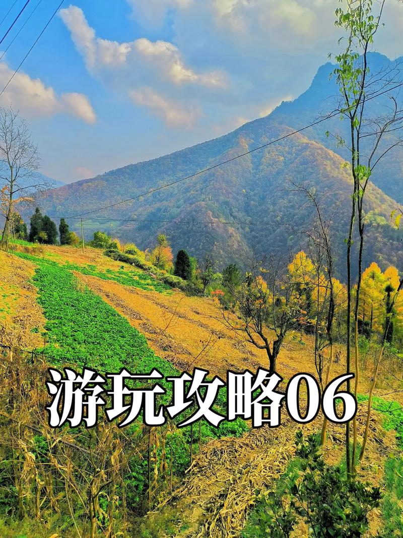 山东淄博市天气预报?山东省淄博市天气?-第2张图片-巾百福 山东淄博市天气预报?山东省淄博市天气?-第2张图片-巾百福