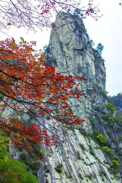 鲁山天气预报40天,鲁山天气预报40天查询-第1张图片-巾百福 鲁山天气预报40天,鲁山天气预报40天查询-第1张图片-巾百福
