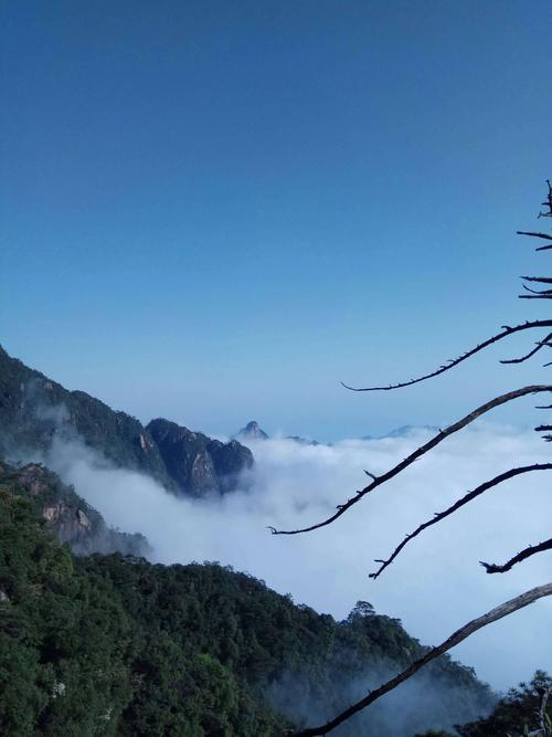 三清山天气20天,三清山天气20天气预报?-第4张图片-巾百福 三清山天气20天,三清山天气20天气预报?-第4张图片-巾百福