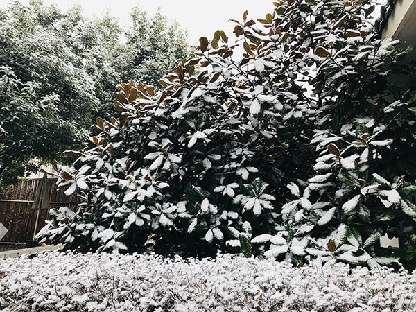 红原天气预报7天？红原天气预报7天一周查询结果？-第4张图片-巾百福