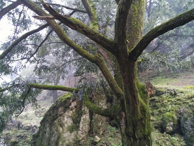 绍兴天气预报查询,绍兴天气预报查询电话?-第2张图片-巾百福 绍兴天气预报查询,绍兴天气预报查询电话?-第2张图片-巾百福