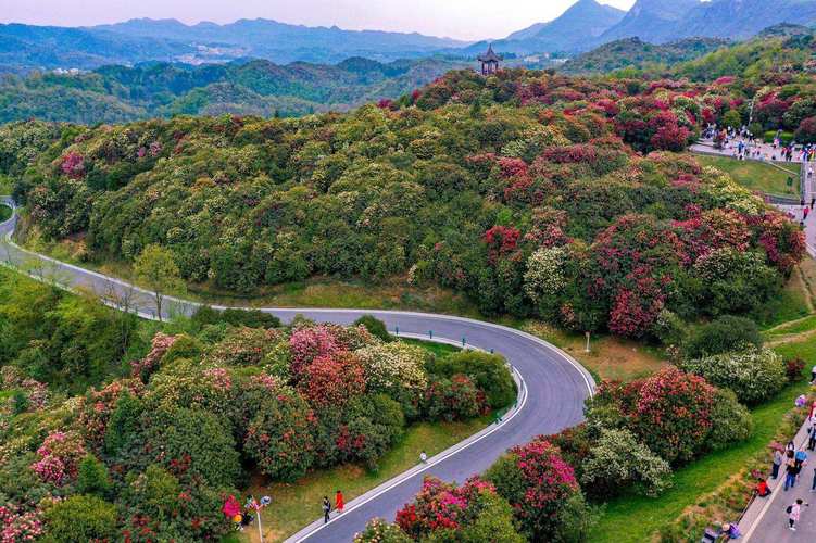 一周天气预报七天？太原一周天气预报七天？-第4张图片-巾百福