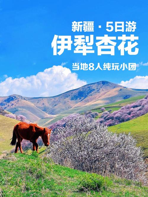 托克逊县天气预报，托克逊县天气预报一周7天？-第1张图片-巾百福