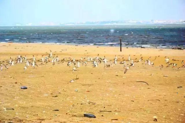 白城天气预报7天,白城天气预报7天查询-第5张图片-巾百福 白城天气预报7天,白城天气预报7天查询-第5张图片-巾百福