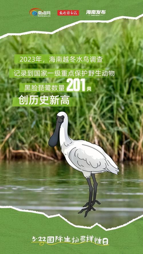 中沙限行尾号限行吗?黄沙限行吗?-第3张图片-巾百福 中沙限行尾号限行吗?黄沙限行吗?-第3张图片-巾百福