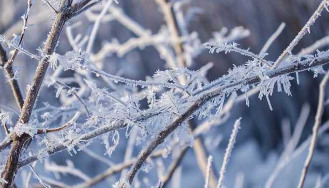 伊春天气预报7天?伊春天气预报7天 15天查询?-第6张图片-巾百福 伊春天气预报7天?伊春天气预报7天 15天查询?-第6张图片-巾百福