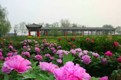 柏乡天气预报7天?柏乡县天气预报7天?-第5张图片-巾百福 柏乡天气预报7天?柏乡县天气预报7天?-第5张图片-巾百福