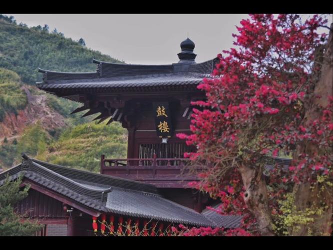 寿宁天气预报30天?寿宁天气预报30天查询结果?-第4张图片-巾百福 寿宁天气预报30天?寿宁天气预报30天查询结果?-第4张图片-巾百福