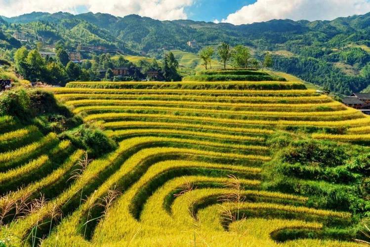 广西靖西天气预报,广西靖西天气预报15天准确率?-第1张图片-巾百福 广西靖西天气预报,广西靖西天气预报15天准确率?-第1张图片-巾百福