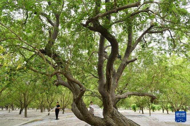 泊头天气预报七天,泊头天气预报七天查询-第2张图片-巾百福 泊头天气预报七天,泊头天气预报七天查询-第2张图片-巾百福