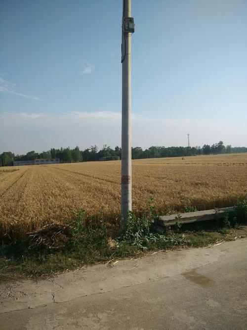 阳谷天气预报一周,阳谷的天气预报今天-第3张图片-巾百福 阳谷天气预报一周,阳谷的天气预报今天-第3张图片-巾百福
